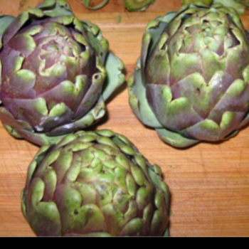 Alcaucil